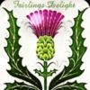 fairlingdelight